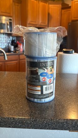 Intex PureSpa S1 Filter Cartridge