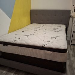 Queen Size Bed With Mattress  