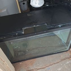 Fish tank