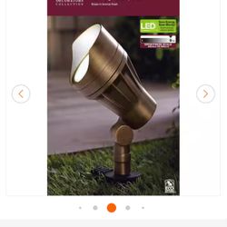 Home Decorations Edition Flood Light NEW