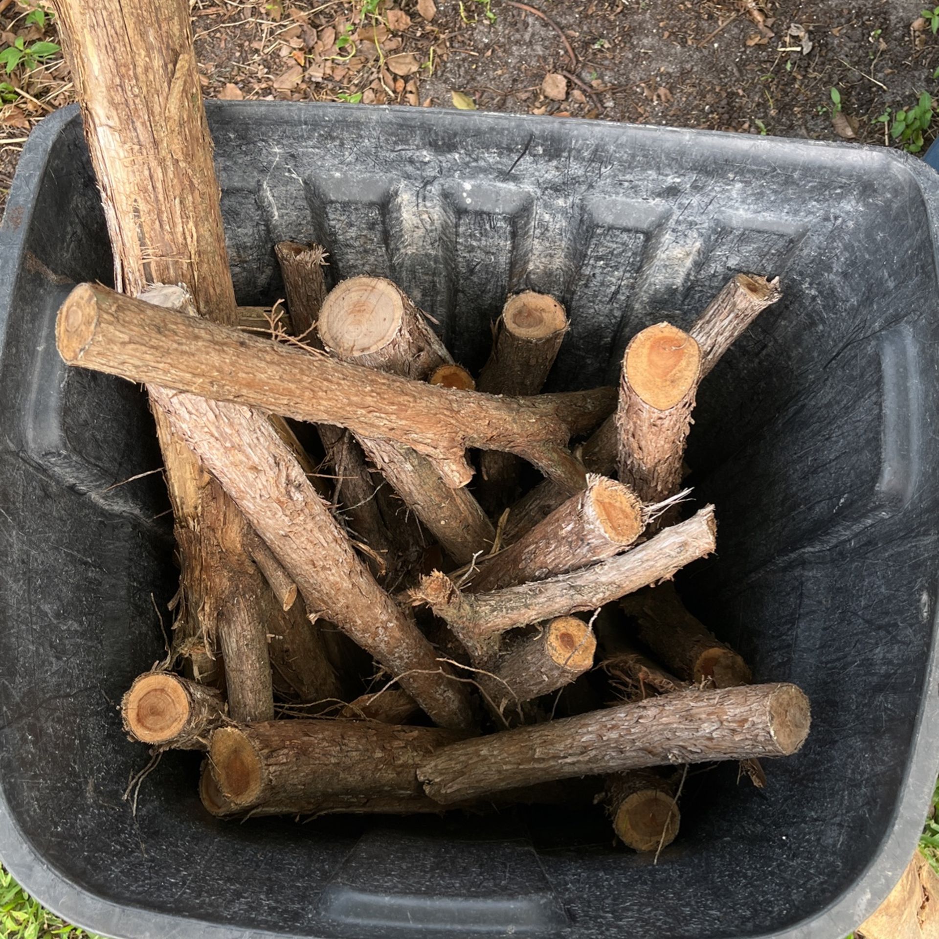 Cedar Logs for Sale in Ormond Beach, FL OfferUp