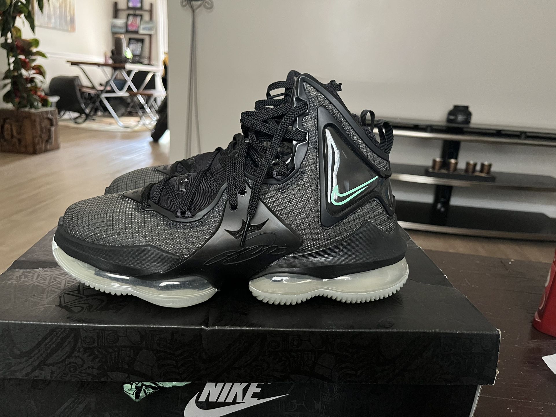 LeBron XIX