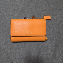 Crossbody Mini Bag Wallet Type
