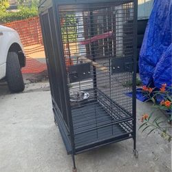 Bird Cage 