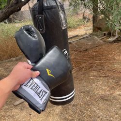 Venom punching bag