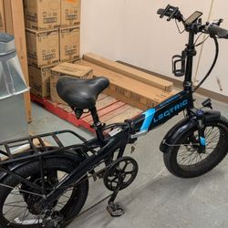 Lectric XP 2.0 