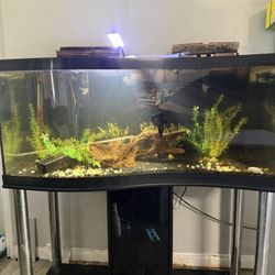 Marineland Wave aquarium Fish Tank