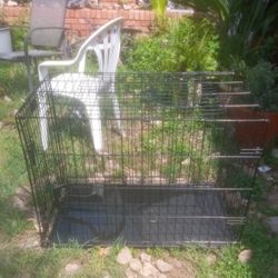 Large Metal Petco Dog Cage. Has Tray And Extra Shelf. 