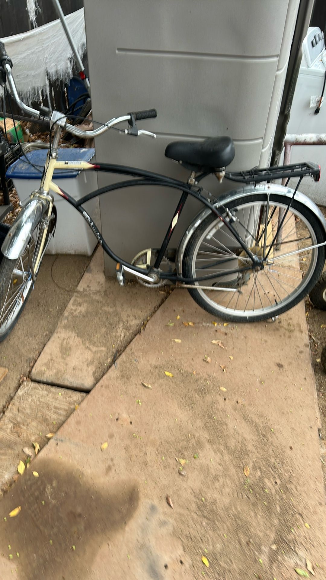 Schwinn