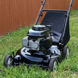MTD/Honda Push Lawn Mower!
