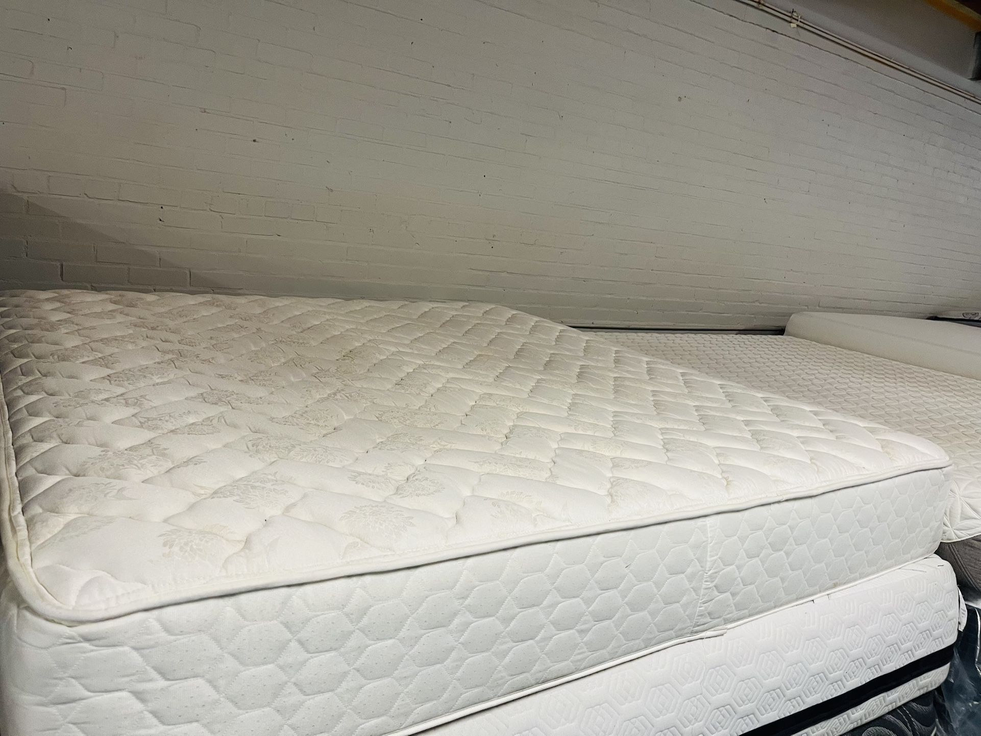 King Matttess Sealy Posturepedic 🌲