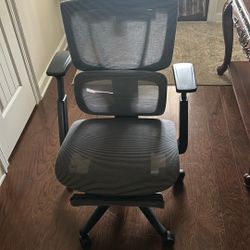 Ergo Chair