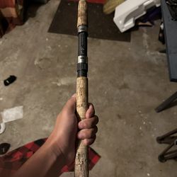 Shimano Baitcasting Rod