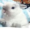 Yuki