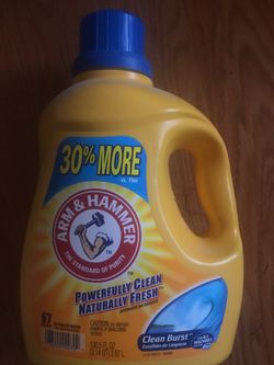 Arm and hammer 67loads $5