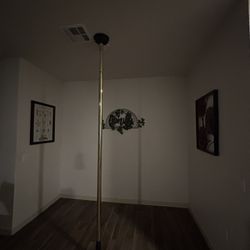 Pole