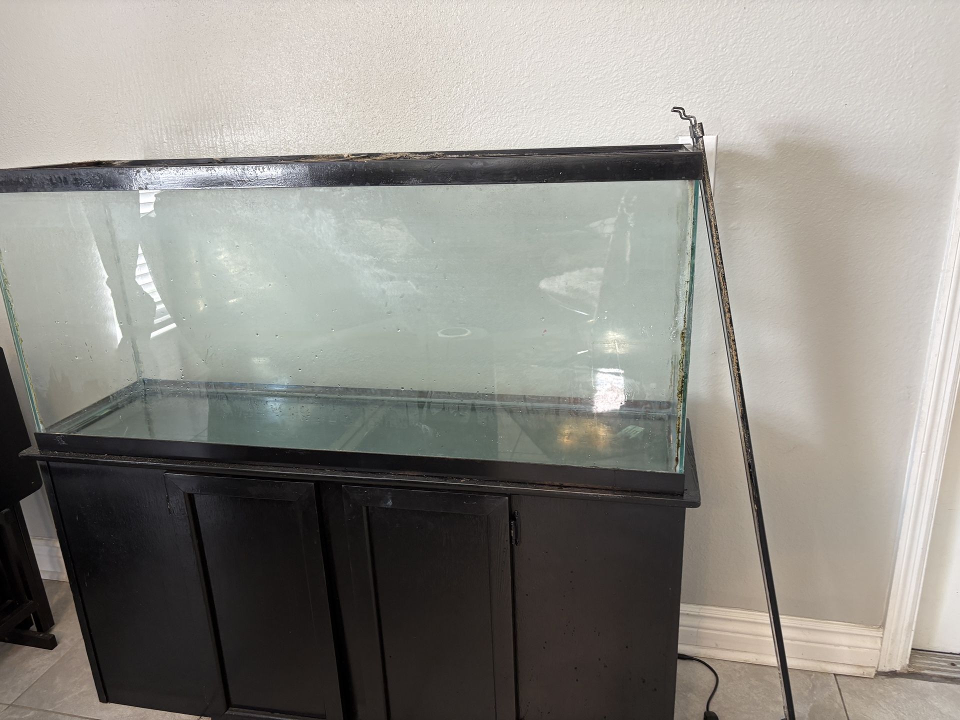 75 gallon Fish Tank