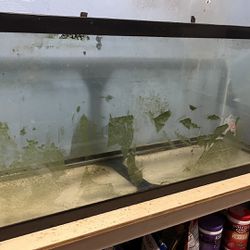 75 Gallon Fish Tank 