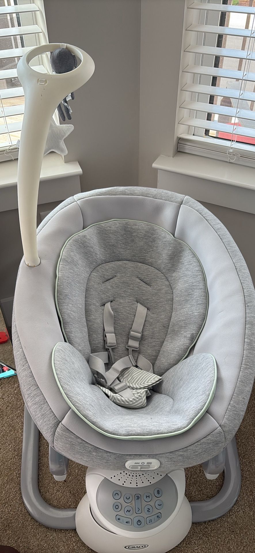 Graco Swing