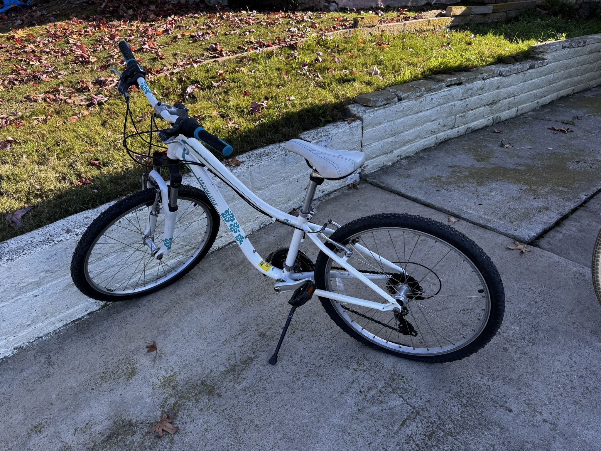 Kids Bike (Specialized Brand)