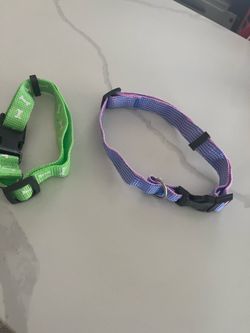 Dog collars