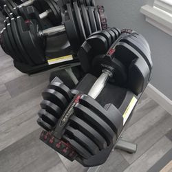 Bowflex Adjustable Dumbbells With Stand