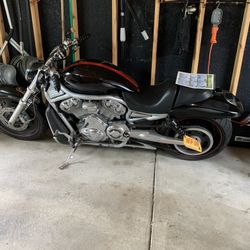 2004 Harley v Rod 