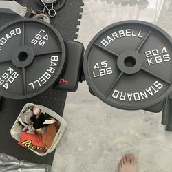 New in box never used pair of 45lb Olympic weight plates total 90lb have ez curl bar new in bag for sale too for additional price