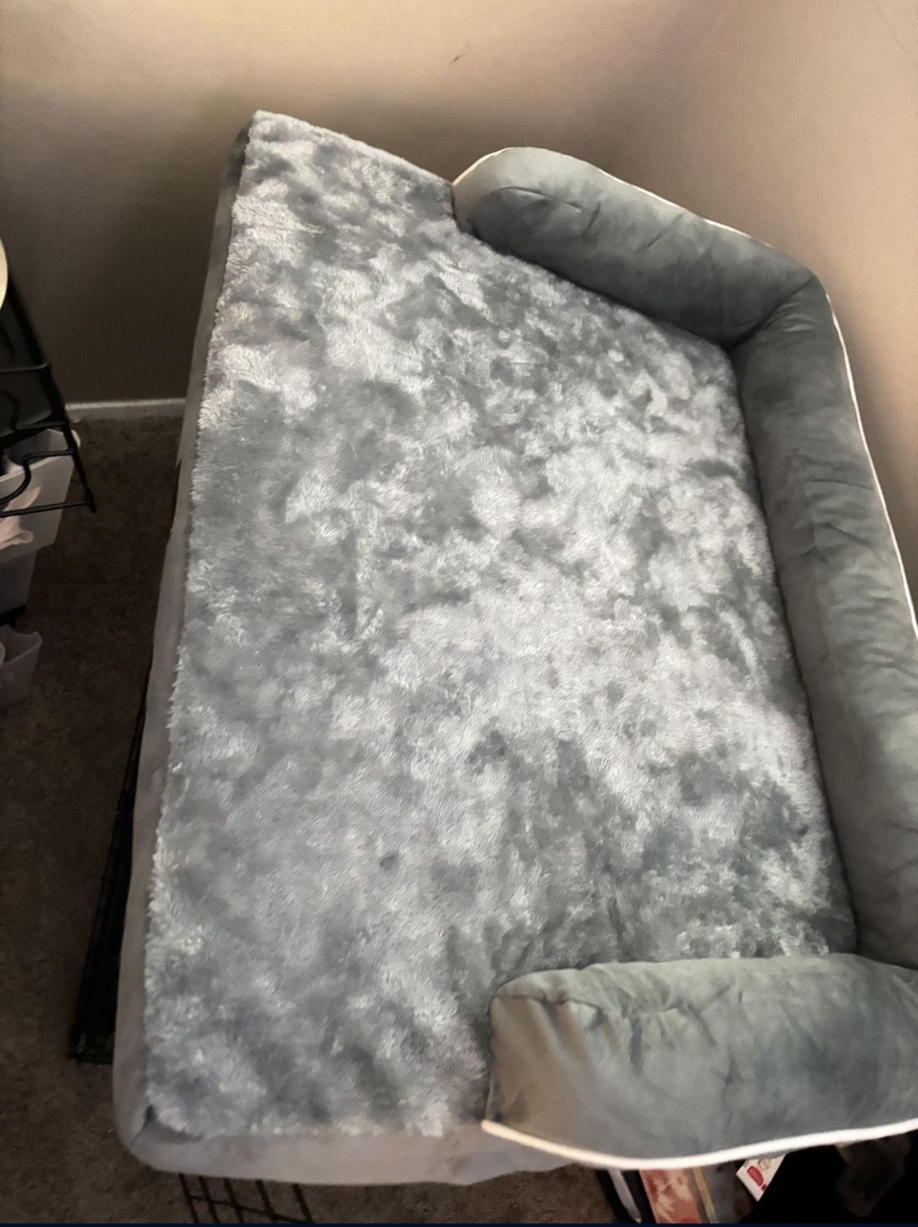 dog bed