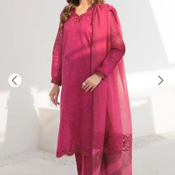 Indian/Pakistani Embroidered Shalwar Kameez With Embroidered Organza Dupatta 