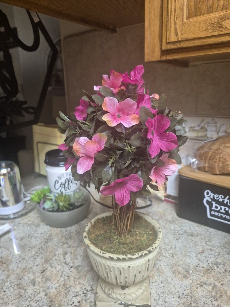Cute Topery Tree