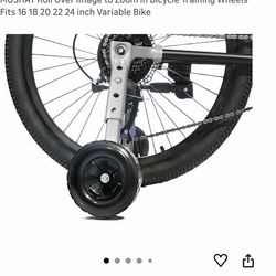 BICYCLE Training Wheels