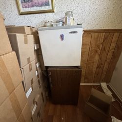 Mini Fridge 