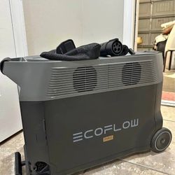 Ecoflow Delta Pro Portable Power Station 