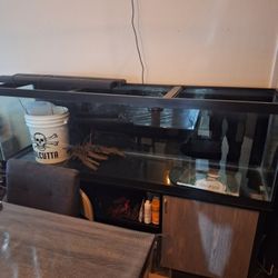 125 Gal Fish Tank Full Set Up