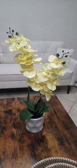 Fake plant 24 inches - for table
