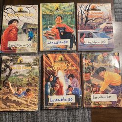 Lot Of 6 A Woodland Mystery Kids Chapter Books Irene Schultz 