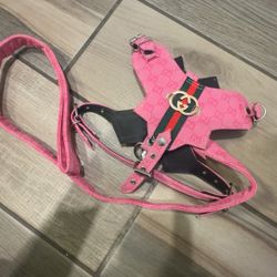 Dog Harness + Leash 