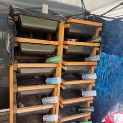 Rat Rack