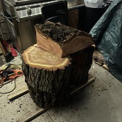 Live edge Stumps 