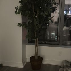 Artificial Plant $33 (Two Of Them)