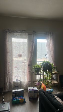 Curtains with rod and holders $5