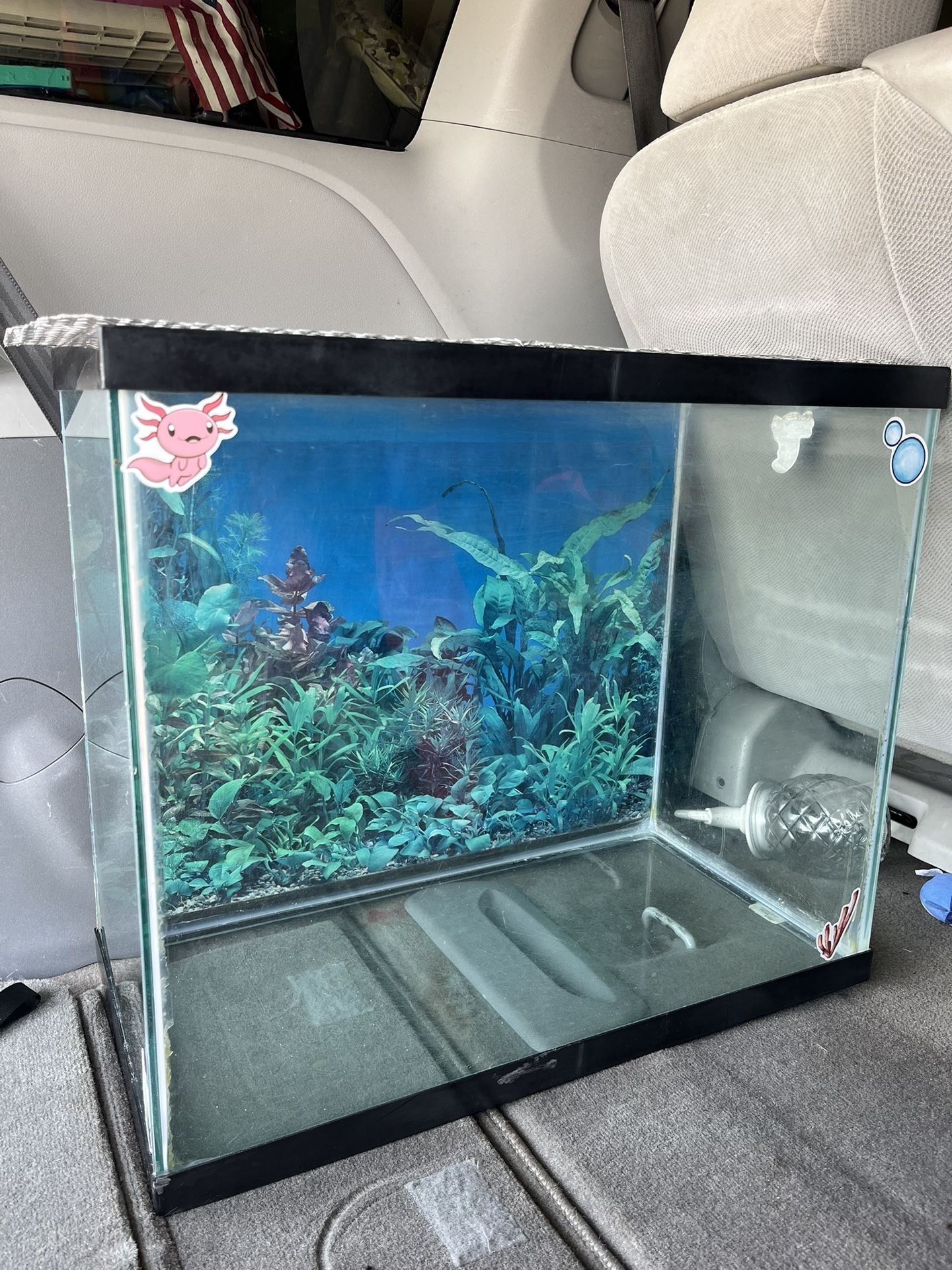 30 Gallon Fish Tank