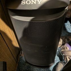 Sony Srsxv500