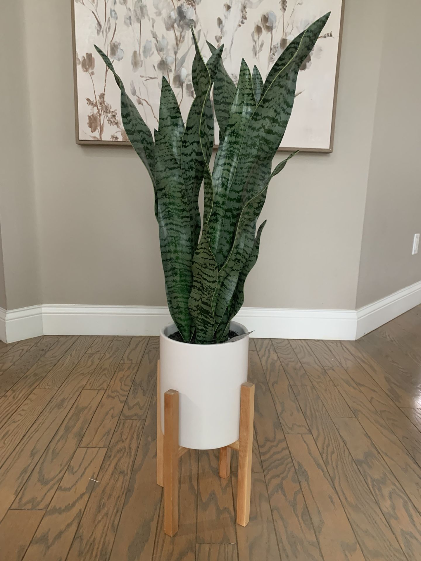 Faux Snake Plant