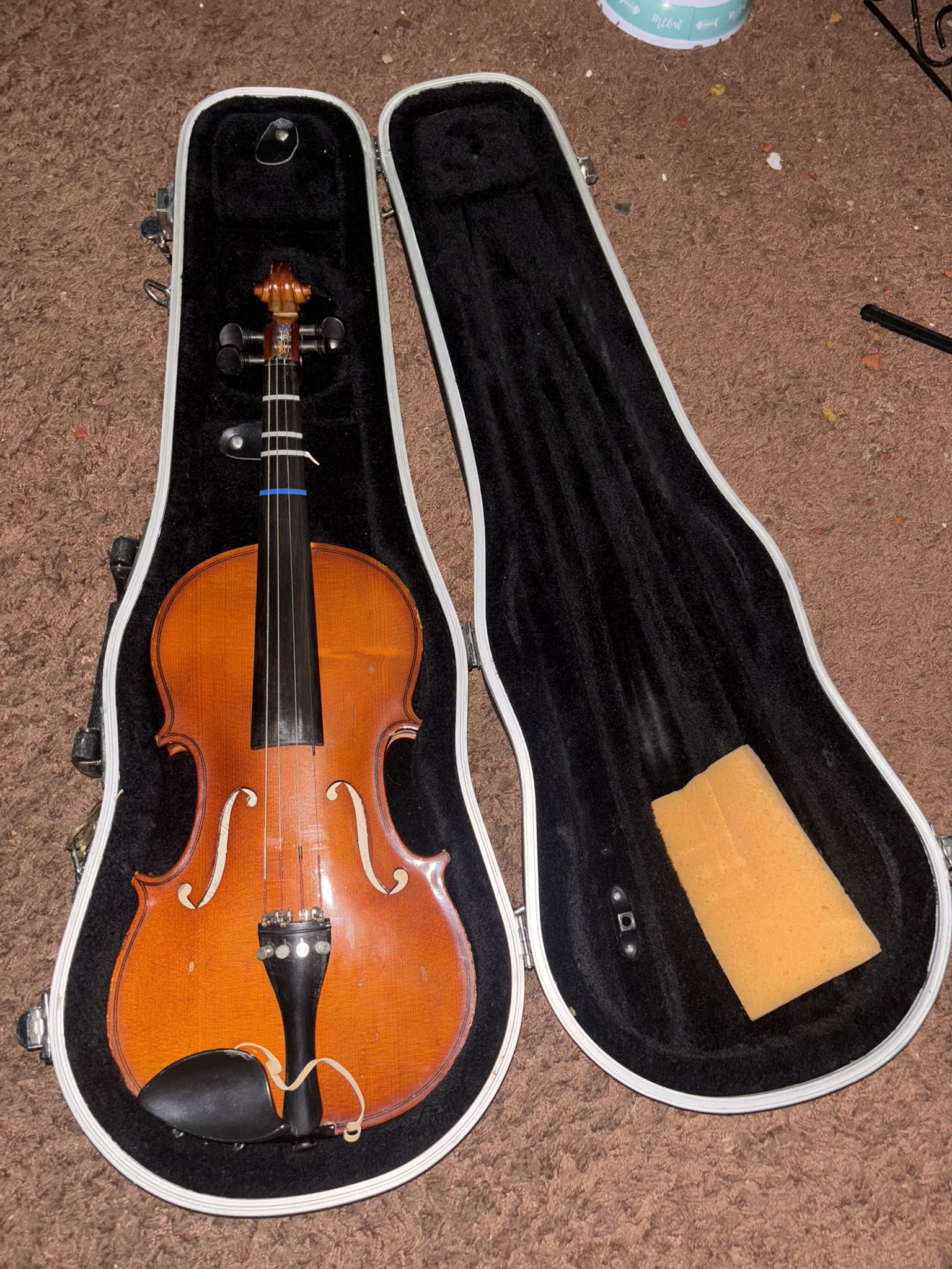 Violin