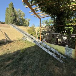 Work Ladder