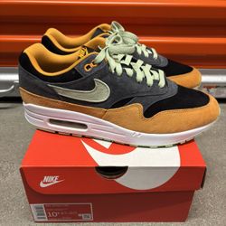 10.5 - Nike Air Max 1 Ugly Duckling