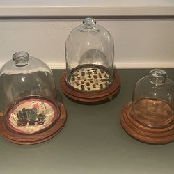 Glass & Wood Cloche’s Home Decor, Plants. Party, Catering, Desserts, Holiday