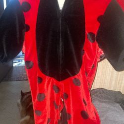 Ladybug Outfit 